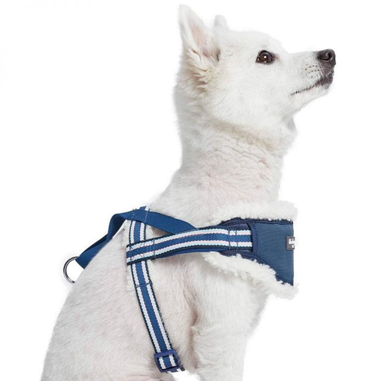 Fleece Padded Dog Harness