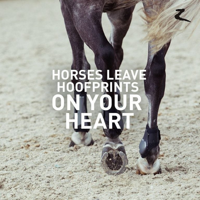 Horse Rider Quotes