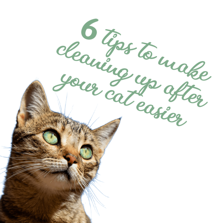 Worming Liquid For Cats